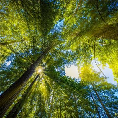 张国清在甘肃慰问受灾群众指导山洪灾害现场搜救和应急处置工作